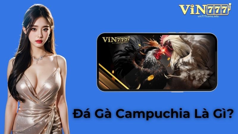 Đá Gà Campuchia Là Gì? Giải Mã Trường Gà Hợp Pháp Được Ưa Chuộng Nhất Đông Nam Á