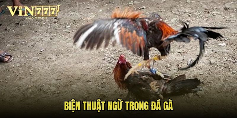 Biện thuật ngữ trong đá gà