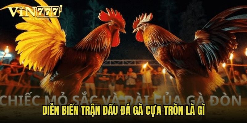 Diễn biến trận đấu đá gà cựa tròn là gì