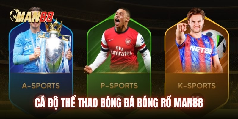 Cá độ thể thao bóng đá bóng rổ Man88
